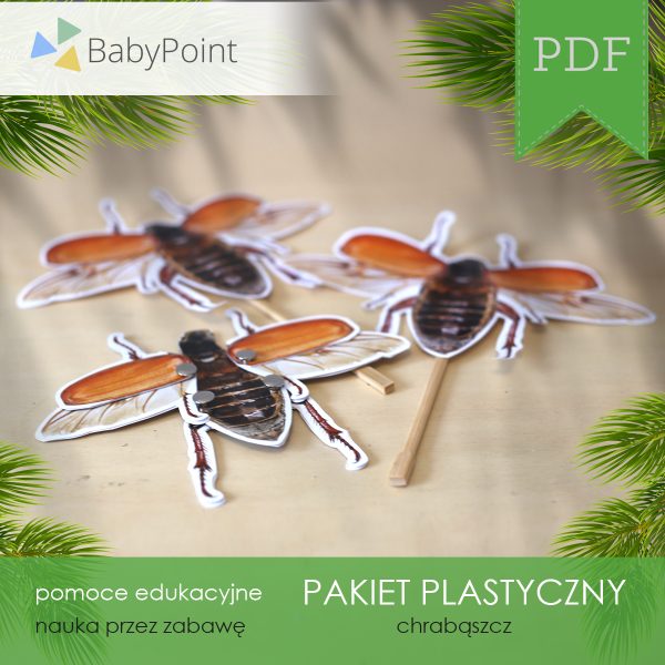 PAKIET PLASTYCZNY - Chrząszcz