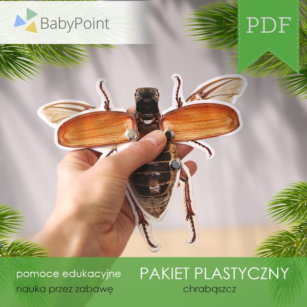 PAKIET PLASTYCZNY - Chrząszcz
