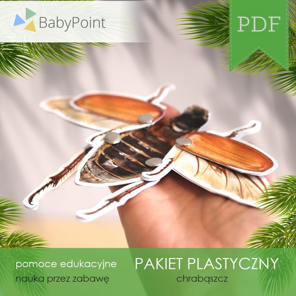 PAKIET PLASTYCZNY - Chrząszcz