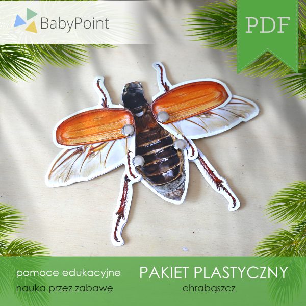 PAKIET PLASTYCZNY - Chrząszcz