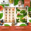 BIEDRONKI - Zestaw edukacyjny 3D