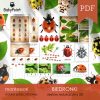 BIEDRONKI - Zestaw edukacyjny 3D