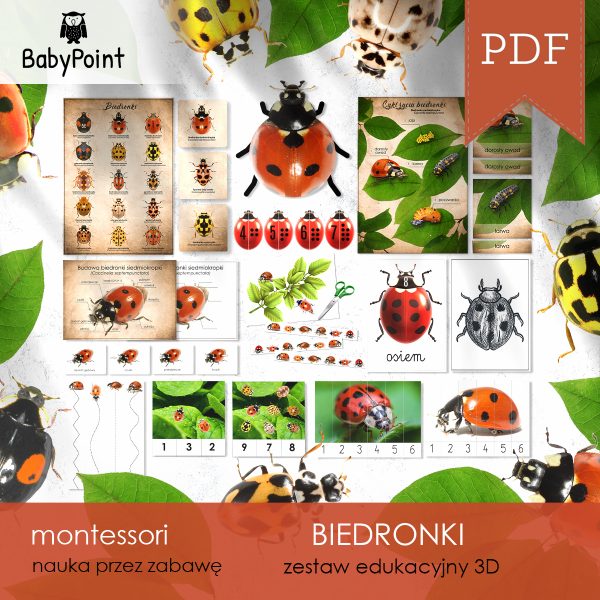 BIEDRONKI - Zestaw edukacyjny 3D