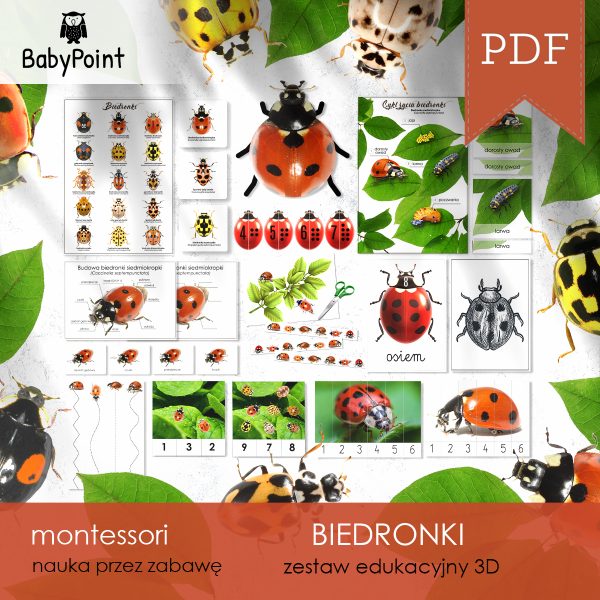 BIEDRONKI - Zestaw edukacyjny 3D