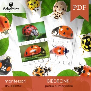 BIEDRONKI - Zestaw edukacyjny 3D