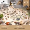 OWADY - Zestaw Edukacyjny 3D