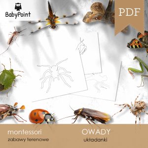 OWADY - Zestaw Edukacyjny 3D