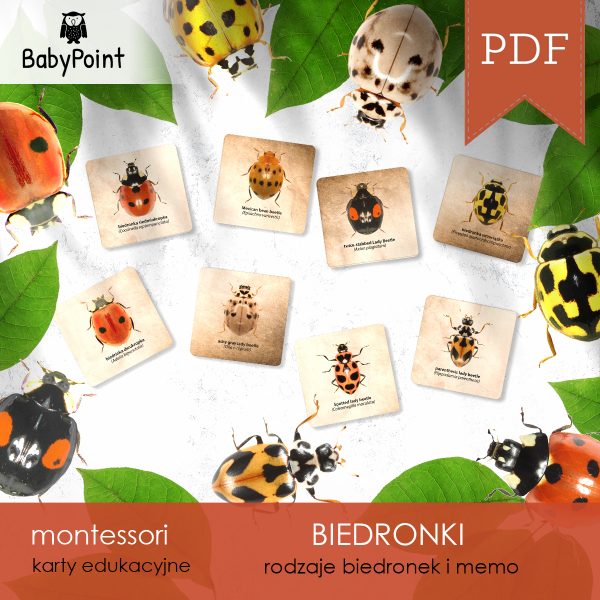 BIEDRONKI - Zestaw edukacyjny 3D