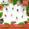 BIEDRONKI - Zestaw edukacyjny 3D