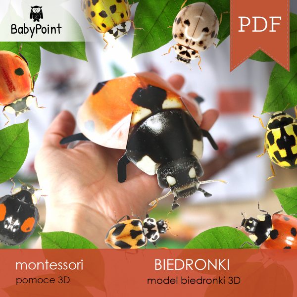 BIEDRONKI - Zestaw edukacyjny 3D
