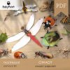 OWADY - Zestaw Edukacyjny 3D