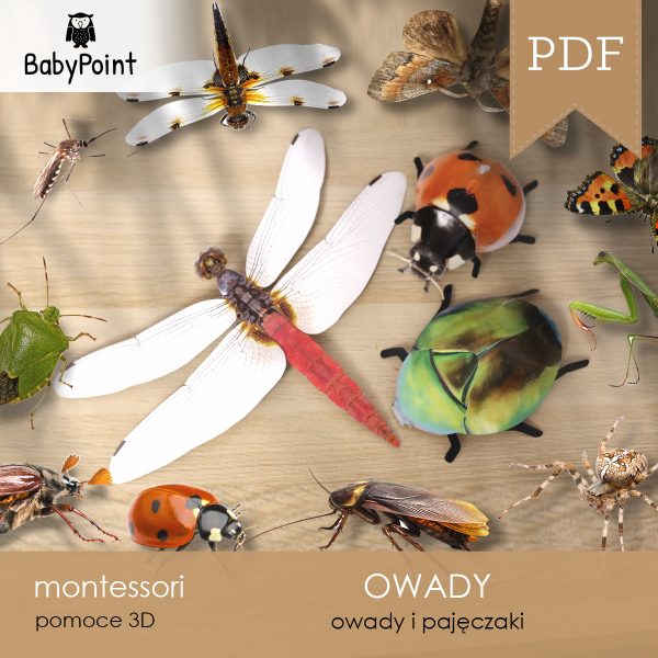 OWADY - Zestaw Edukacyjny 3D