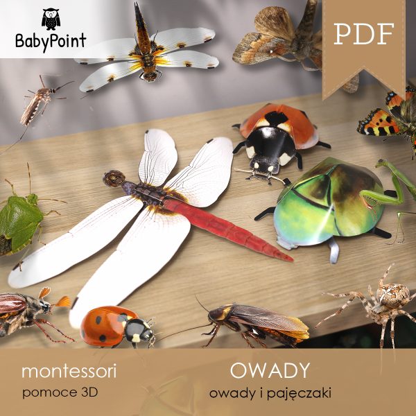 OWADY - Zestaw Edukacyjny 3D