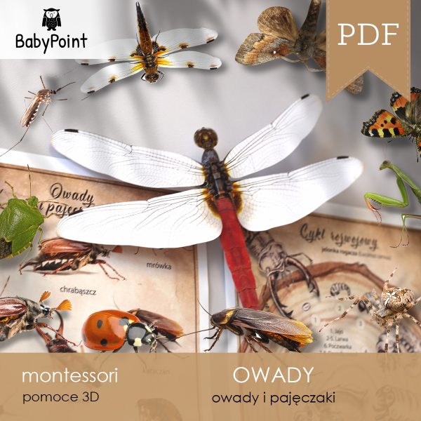OWADY - Zestaw Edukacyjny 3D