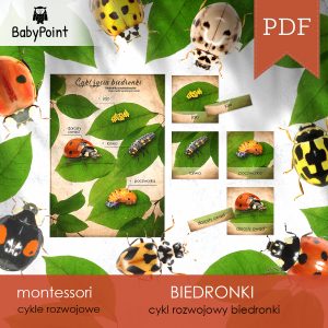 BIEDRONKI - Zestaw edukacyjny 3D