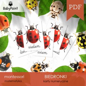 BIEDRONKI - Zestaw edukacyjny 3D