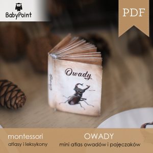 OWADY - Zestaw Edukacyjny 3D
