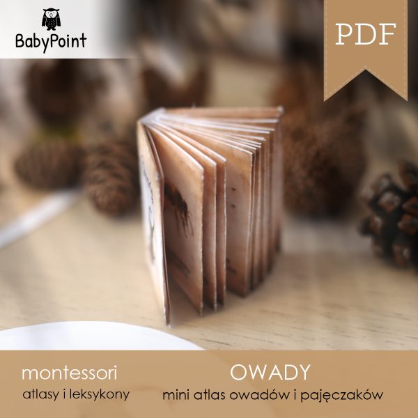 OWADY - Zestaw Edukacyjny 3D