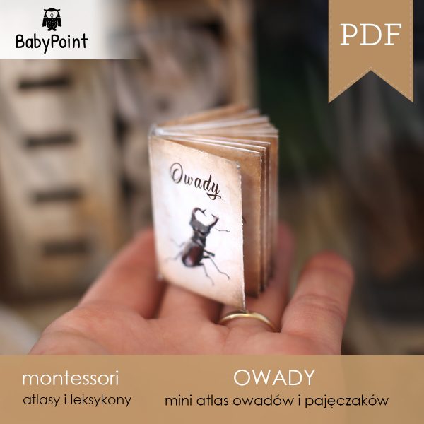 OWADY - Zestaw Edukacyjny 3D