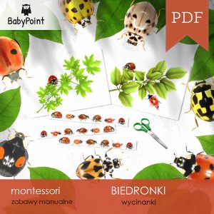 BIEDRONKI - Zestaw edukacyjny 3D