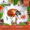BIEDRONKI - Zestaw edukacyjny 3D
