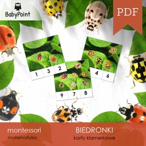 BIEDRONKI - Zestaw edukacyjny 3D