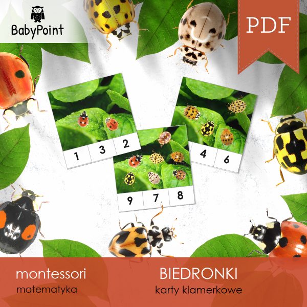 BIEDRONKI - Zestaw edukacyjny 3D