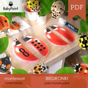 BIEDRONKI - Zestaw edukacyjny 3D