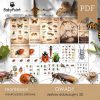 OWADY - Zestaw Edukacyjny 3D