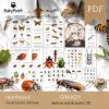 OWADY - Zestaw Edukacyjny 3D