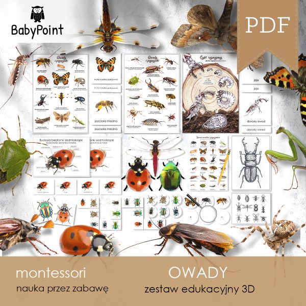 OWADY - Zestaw Edukacyjny 3D
