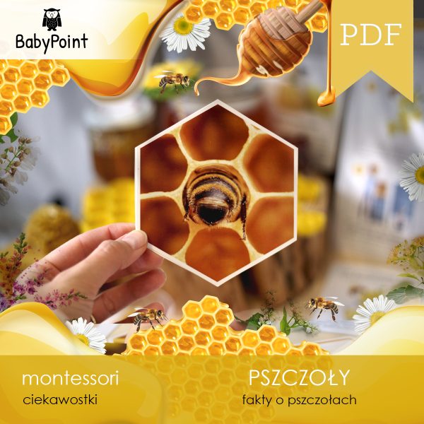 PSZCZOŁY - Zestaw edukacyjny 3D