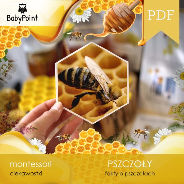 PSZCZOŁY - Zestaw edukacyjny 3D