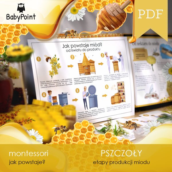 PSZCZOŁY - Zestaw edukacyjny 3D