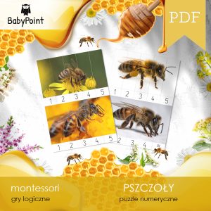 PSZCZOŁY - Zestaw edukacyjny 3D