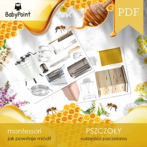 PSZCZOŁY - Zestaw edukacyjny 3D