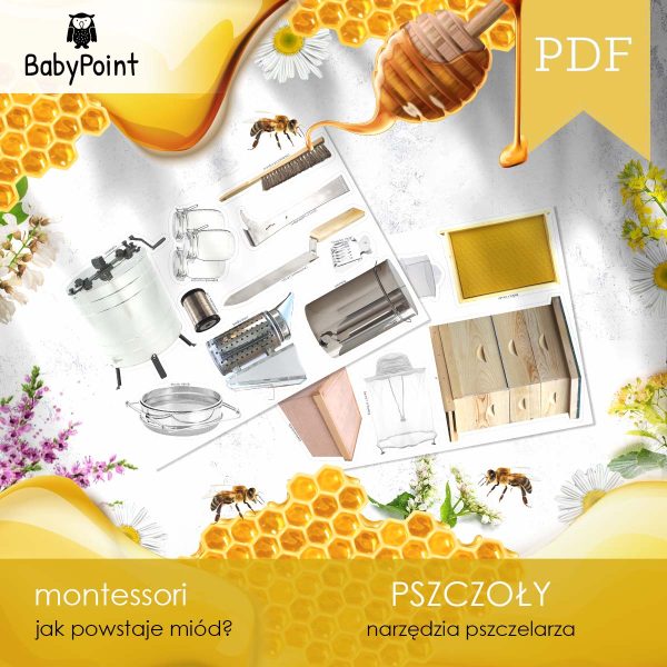 PSZCZOŁY - Zestaw edukacyjny 3D
