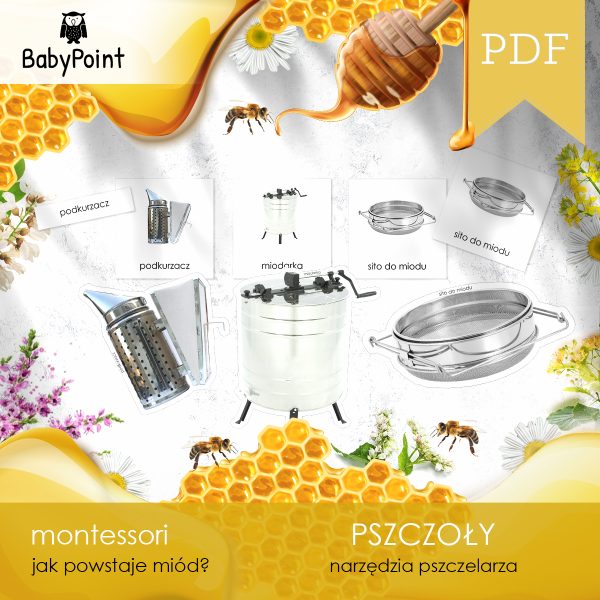 PSZCZOŁY - Zestaw edukacyjny 3D
