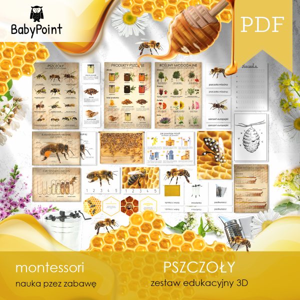 PSZCZOŁY - Zestaw edukacyjny 3D