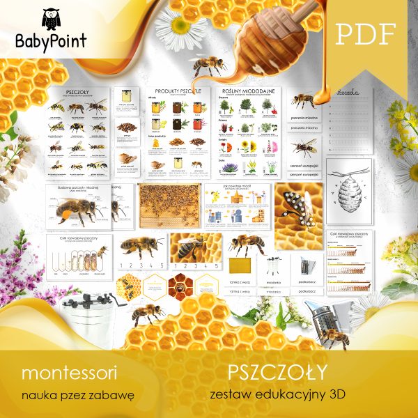 PSZCZOŁY - Zestaw edukacyjny 3D