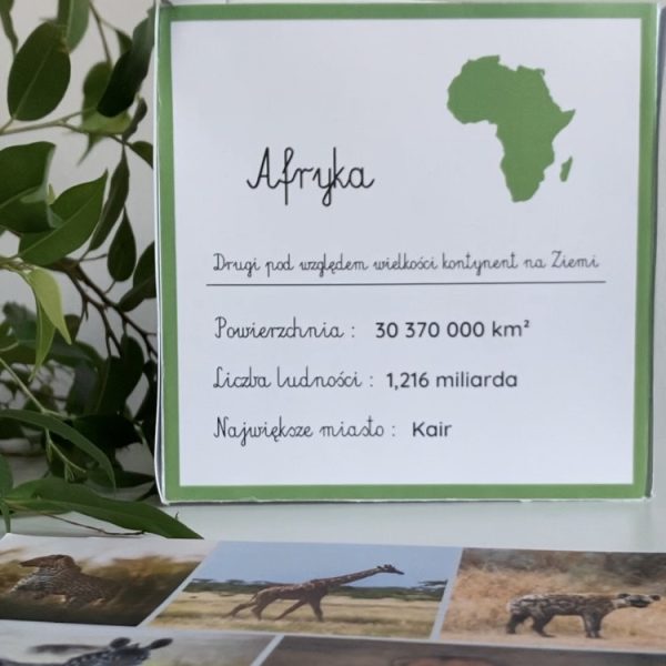 Afryka - kostka