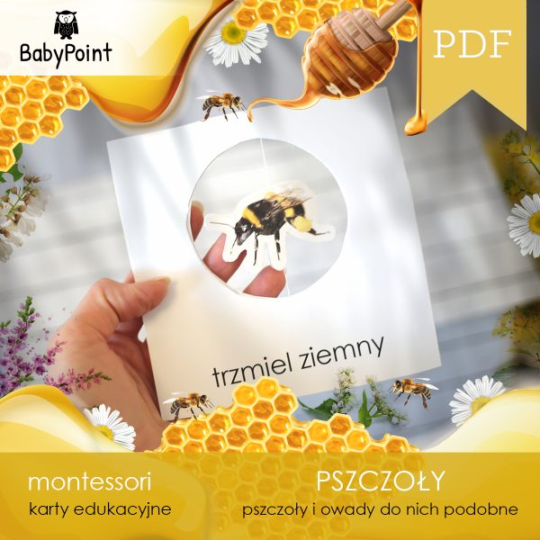 PSZCZOLY - Zestaw edukacyjny 3D