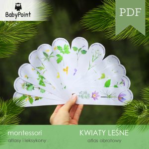 KWIATY LEŚNE - Zestaw edukacyjny