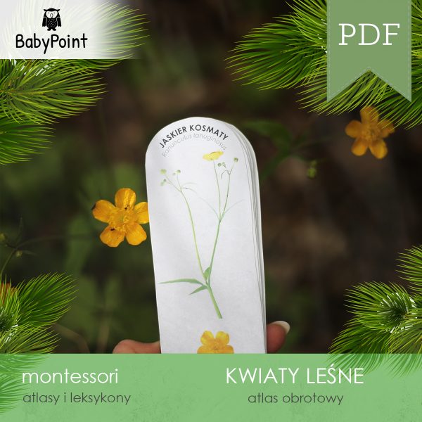 KWIATY LEŚNE - Zestaw edukacyjny