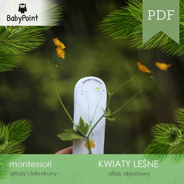 KWIATY LEŚNE - Zestaw edukacyjny