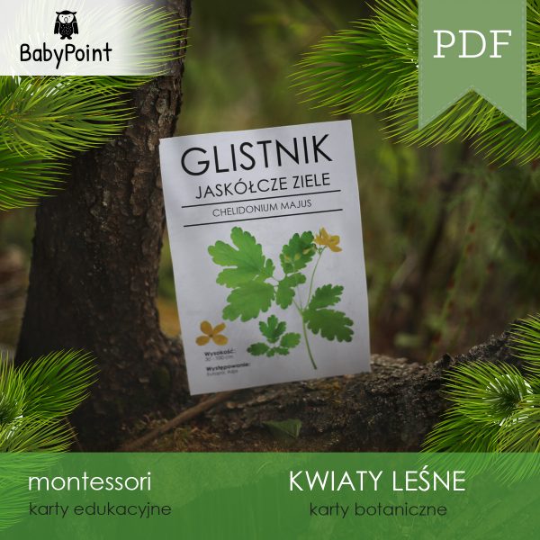 KWIATY LEŚNE - Zestaw edukacyjny
