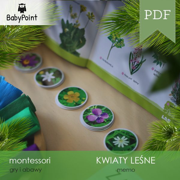 KWIATY LEŚNE - Zestaw edukacyjny