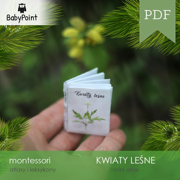 KWIATY LEŚNE - Zestaw edukacyjny