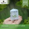 KWIATY LEŚNE - Zestaw edukacyjny