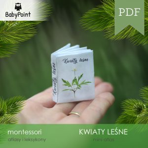 KWIATY LEŚNE - Zestaw edukacyjny